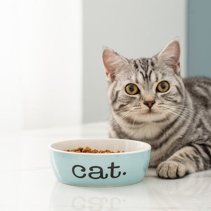 Eco Friendly Sublimation Custom Pet Cat Food Water Feeding Ceramic Dog Bowl